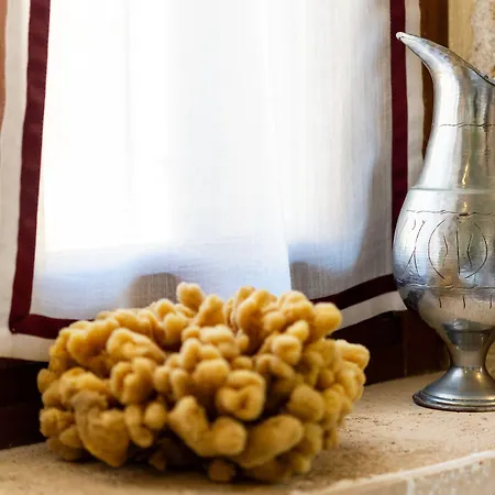 كوكيني بورتا روسا