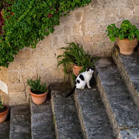 Kokkini Porta Rossa Hotel