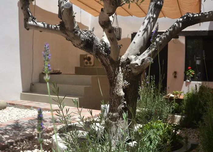 كوكيني بورتا روسا 5*